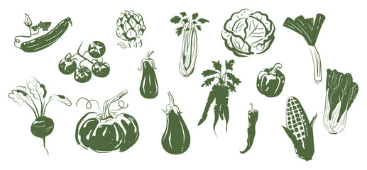 A big set of hand-drawn vegetables. Isolated. Cucumber, tomato, artichoke, celery, cabbage, leek, corn, pepper, carrot, eggplant, pumpkin, beetroot. Vector illustration of a doodle. 