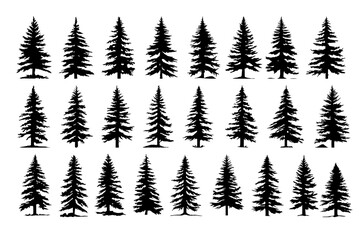 Fototapeta premium Set of fir trees seamless pattern vector