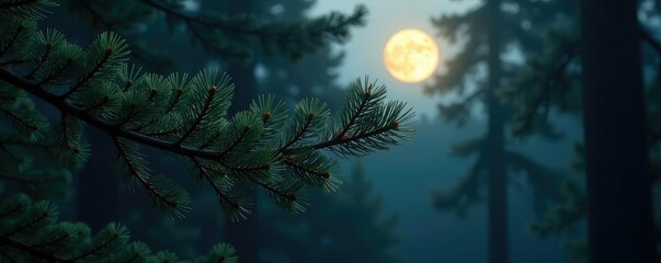 Obraz premium silvery moonlight filtering through pine needles, serene, shadows, peaceful