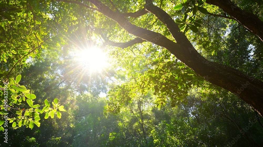 Poster sunlight streaming through green leaves in a lush forest creating a magical atmosphere : generative 