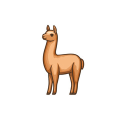 Fototapeta premium A Simple flat 2D illustration of an alpaca flat design isolated on a white background, vector 2D design, icon, illustration art, flat icon design
