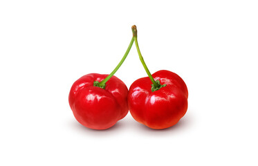 アセロラ イラスト リアル 白バック