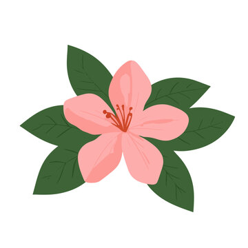 pink flower green leaves isolated clip art preview