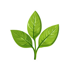 A Simple flat 2D icon basil leaves branch isolated on a transparent background, vector, flat design, animation design, vector, flat design, simple flat 2D icon