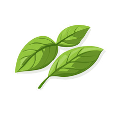 A Simple flat 2D icon basil leaves isolated on a transparent background, vector, flat design, animation design, vector, flat design, simple flat 2D icon