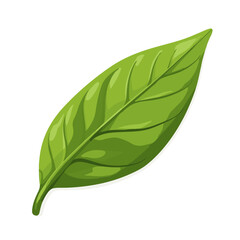 Obraz premium A Simple flat 2D icon green basil leaves isolated on a transparent background, vector, flat design, animation design, vector, flat design, simple flat 2D icon