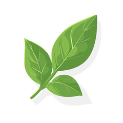 A Simple flat 2D icon basil leaves branch isolated on a transparent background, vector, flat design, animation design, vector, flat design, simple flat 2D icon, vector  illustration