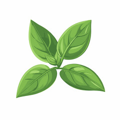 A Simple flat 2D icon green basil leaves branch isolated on a transparent background, vector, flat design, animation design, vector, flat design, simple flat 2D icon, vector  illustration