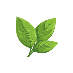 A Simple flat 2D icon basil leaves branch isolated on a transparent background, vector, flat design, animation design, vector, flat design, simple flat 2D icon