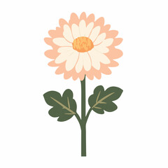 A flat 2D vector illustration of a chrysanthemum branch set, designed as an icon and isolated on a white background. simple icon design, flower set collection
