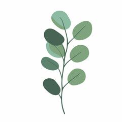 A flat 2D vector illustration of a green eucalyptus leaf, designed as an icon and isolated on a white background. simple icon design
