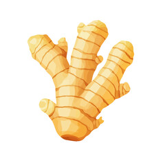A simple flat 2D icon of sliced ginger root isolated on the background, vector design, ideal for animation, UI/UX design, mobile apps, web design illustrations, flat 2D
