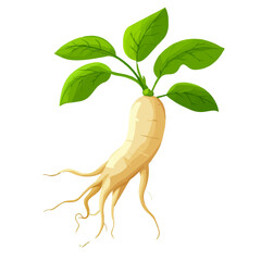 A simple flat 2D icon of ginseng root with leaves isolated on the background, vector design, ideal for animation, UI/UX design, mobile apps, web design, digital illustrations, flat 2D