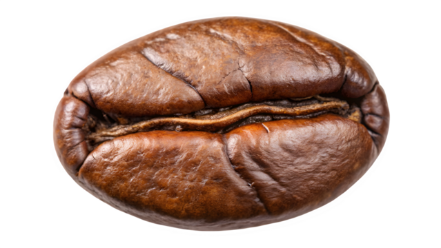 Coffee Bean Closeup – Transparent Background PNG