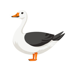 A simple flat 2D icon of a white goose isolated on the background, vector design, ideal for animation, UI/UX design, mobile apps, web design, digital illustrations, flat 2D, animal set
