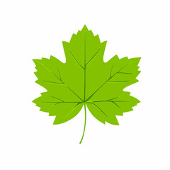 A 2D simple grapevine leaf motion graphic flat-design vector animation style, in white background, flat design, animation design, vector, flat design, logo.