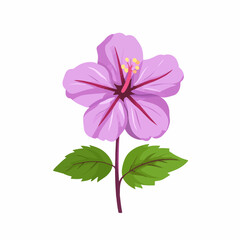 A 2D simple purple hibiscus motion graphic flat-design vector animation style, in white background, flat design, animation design, vector, flat design, logo.