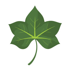 A 2D simple ivy leaf motion graphic flat-design vector animation style, in white background, flat design, animation design, vector, flat design, logo
