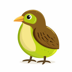 Simple flat 2D icon kiwi animals isolated on a white background, vector, flat design, animation design, vector, flat design, animation design, simple flat 2D icon, minimalist and modern design