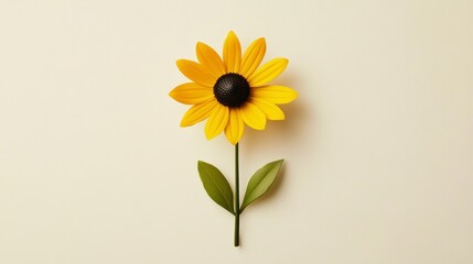 Yellow Flower with Dark Center on Beige Background