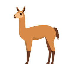 Simple flat 2D icon orange llama isolated on a transparent background, vector, flat design, animation design, vector, flat design, animation design, simple flat 2D icon, minimalist design, sea