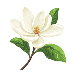 Simple flat 2D icon white magnolia isolated on transparent background, vector, flat design, animation design, vector, flat design, animation design, simple flat 2D icon, minimalist design, clipart