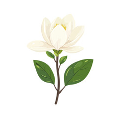 Simple flat 2D icon white magnolia branch with leaves isolated on transparent background, vector, flat design, animation design, vector, flat design, animation design, flat 2D icon, clipart