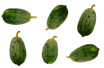 Six green, oblong fruits arranged on a black background