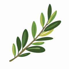 Simple flat 2D icon green olive leaf isolated on blue background, vector, flat design, animation design, animation design, simple flat 2D icon, clipart