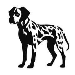 Fototapeta premium Dalmatian dog - Vector black silhouette isolated