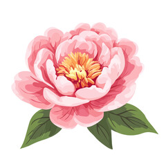 A Simple icon flat 2D icon red peony pink isolated on a transparent background, vector, animation design, simple flat 2D icon, minimalist design and modern illustration