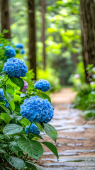 A serene pathway lined with vibrant blue hydrangeas, surrounded by lush greenery, leading into a tranquil forest setting.