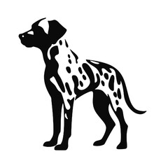 Fototapeta premium Dalmatian dog - Vector black silhouette isolated
