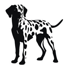 Fototapeta premium Dalmatian dog - Vector black silhouette isolated