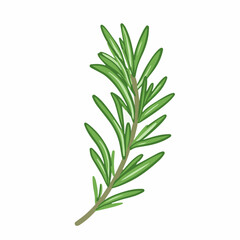 A Simple icon flat 2D icon rosemary leaf branch isolated on a transparent background, vector, animation design, simple flat 2D icon, minimalist design and modern illustration