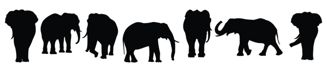 Fototapeta premium Elephants silhouettes. Isolated on white background. Vector illustration