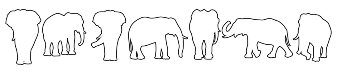 Elephants outline silhouettes. Isolated on white background. Vector illustration