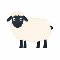 Simple flat 2D icon sheep isolated on transparent background, vector, flat design, animation design, vector, flat design, animation design, simple flat 2D icon, clipart