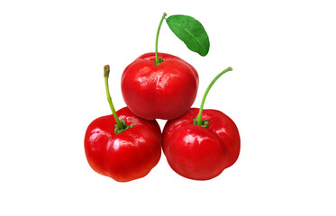 アセロラ イラスト リアル