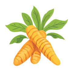 Simple flat 2D illustration of turmeric root with green leaves clipart  isolated on a white background, vector 2D design, icon, flat 2d illustration art, flat icon