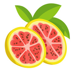 A Simple icon flat 2D icon sliced  guava branch isolated on a transparent background, vector, flat design, animation design, simple flat 2D icon, minimalist design