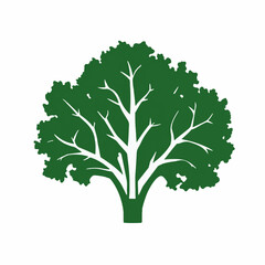 Obraz premium A Simple icon flat 2D icon kale leaves isolated on a transparent background, vector, flat design, animation design, simple flat 2D icon, minimalist design