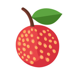 Fototapeta premium A Simple icon flat 2D icon red lychee isolated on a blue background, vector, flat design, animation design, simple flat 2D icon, minimalist design
