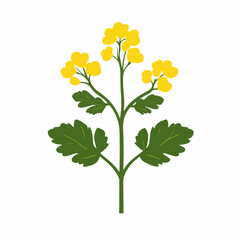 A Simple icon flat 2D icon mustard isolated on a transparent background, vector, flat design, animation design, simple flat 2D icon, minimalist design