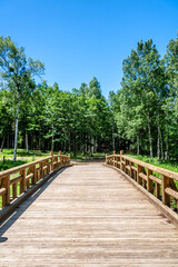飛騨高山　日和田高原の夏の風景　7月	
