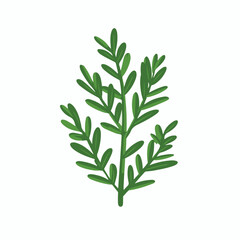 Obraz premium Simple flat 2D icon rosemary isolated on a transparent background, vector, flat design, animation design, vector, flat design, animation design, simple flat 2D icon, minimalist design