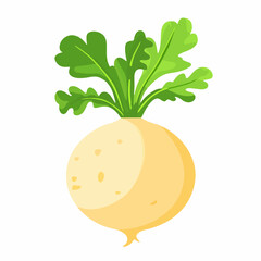 Simple flat 2D icon rutabaga isolated on a transparent background, vector, flat design, animation design, vector, flat design, animation design, simple flat 2D icon, minimalist design