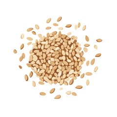 Simple flat 2D icon sesame seed isolated on a transparent background, vector, flat design, animation design, vector, flat design, animation design, simple flat 2D icon, minimalist design