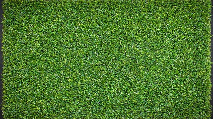 Fototapeta premium Vibrant green grass wall creating a natural barrier and adding a touch of nature's beauty to the surrounding landscape