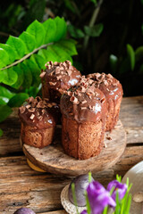 Chocolate Easter cakes with ganache, chocolate chips and viola. Wooden background, purple eggs, daffodils, crocuses, violets.